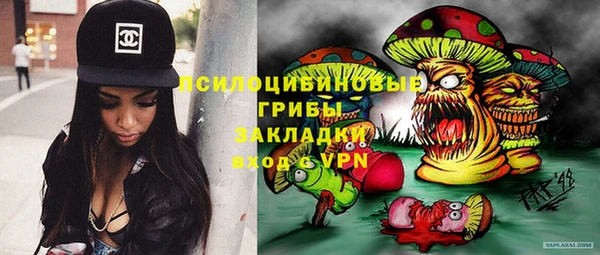 дмт Новозыбков