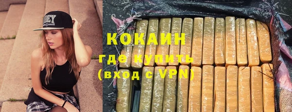 дмт Новозыбков