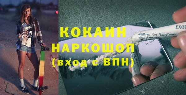 дмт Новозыбков